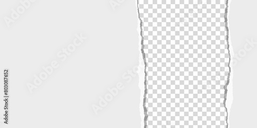 Piece of an oblong sheet of paper torn from top to bottom. Transparent background. Vector illustration.