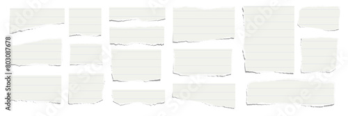 Elongated horizontal set of torn pieces of lined paper isolated on a white background. Paper collage. Vector illustration. photo