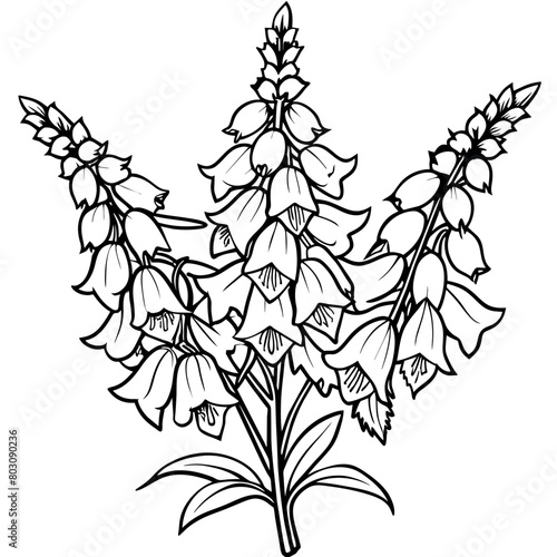 Foxglove Flower  Bouquet outline illustration coloring book page design, Foxglove Flower  Bouquet black and white line art drawing coloring book pages for children and adults