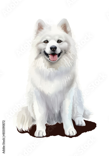 samoyed dog watercolor digital painting good quality