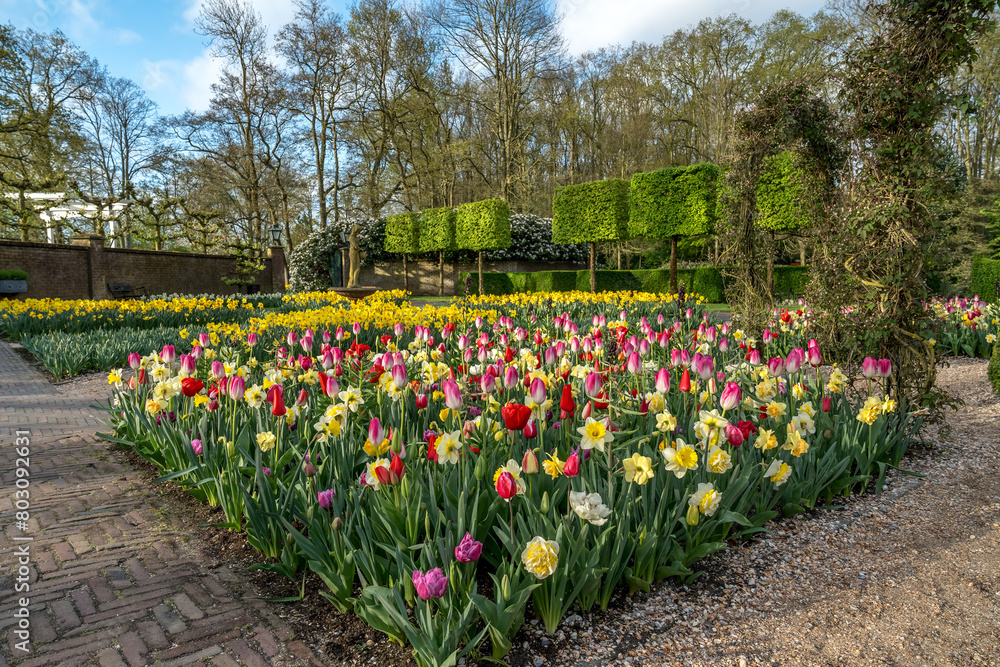 Jardin botanique aux tulipes de Keukenhof , à Lisse aux Pays-Bas Jardin botanique aux tulipes de Keukenhof , à Lisse aux Pays-Bas