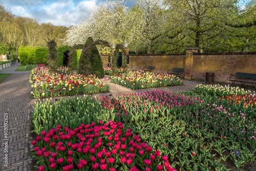 Jardin botanique aux tulipes de Keukenhof  , à Lisse  aux Pays-Bas photo
