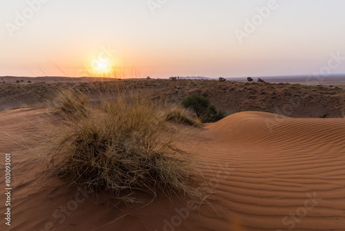 Sunset in the Namib desert  Namibia