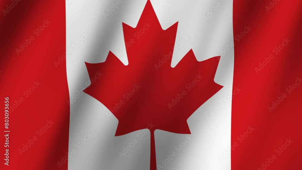 The Canadian flag billowing proudly in the wind The Canadian flag billowing proudly in the wind