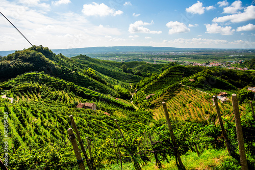 Tableau sur toile 2023 9 23 Vidor prosecco vineyard 59