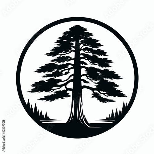 Redwood tree silhouette vector illustration white background