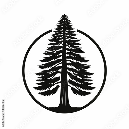 Redwood tree silhouette vector illustration white background