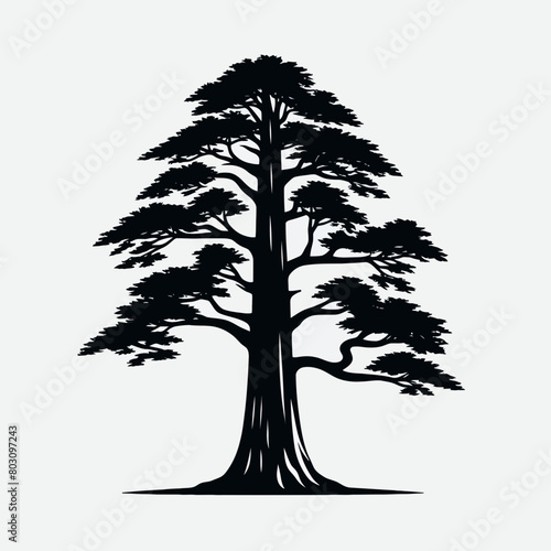 Redwood tree silhouette vector illustration white background