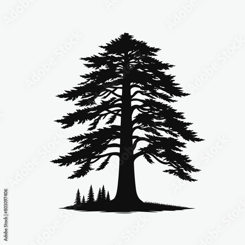Redwood tree silhouette vector illustration white background