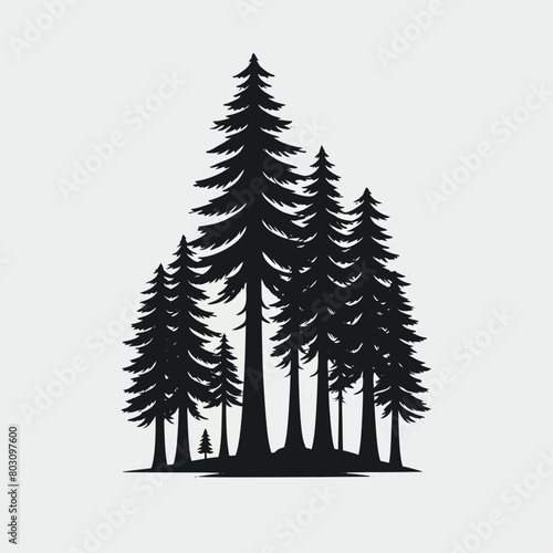 Redwood tree silhouette vector illustration white background