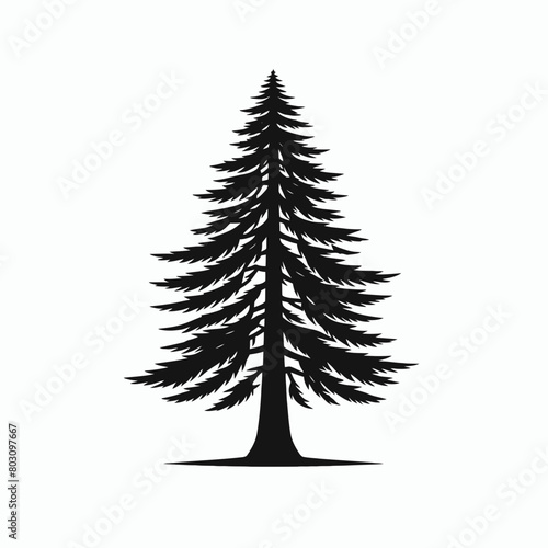 Redwood tree silhouette vector illustration white background