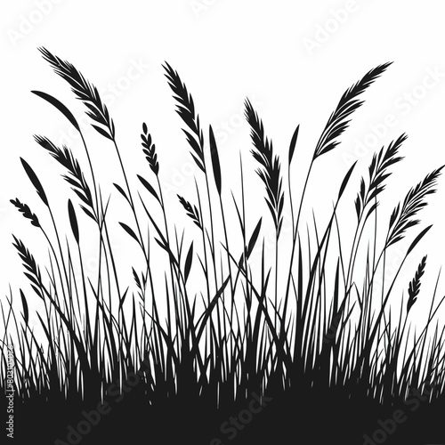 grass silhouette vector illustration white background