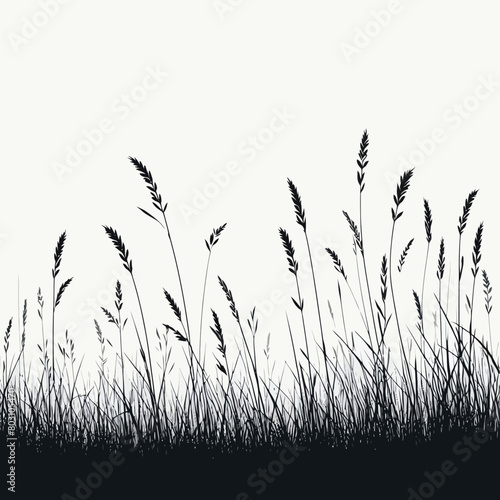 grass silhouette vector illustration white background
