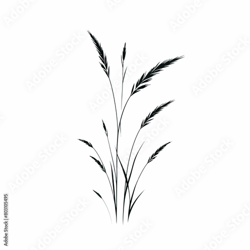 grass silhouette vector illustration white background