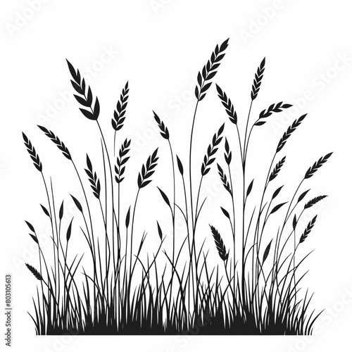 grass silhouette vector illustration white background