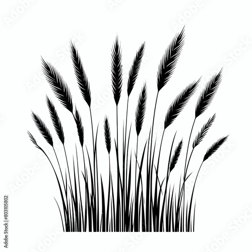grass silhouette vector illustration white background