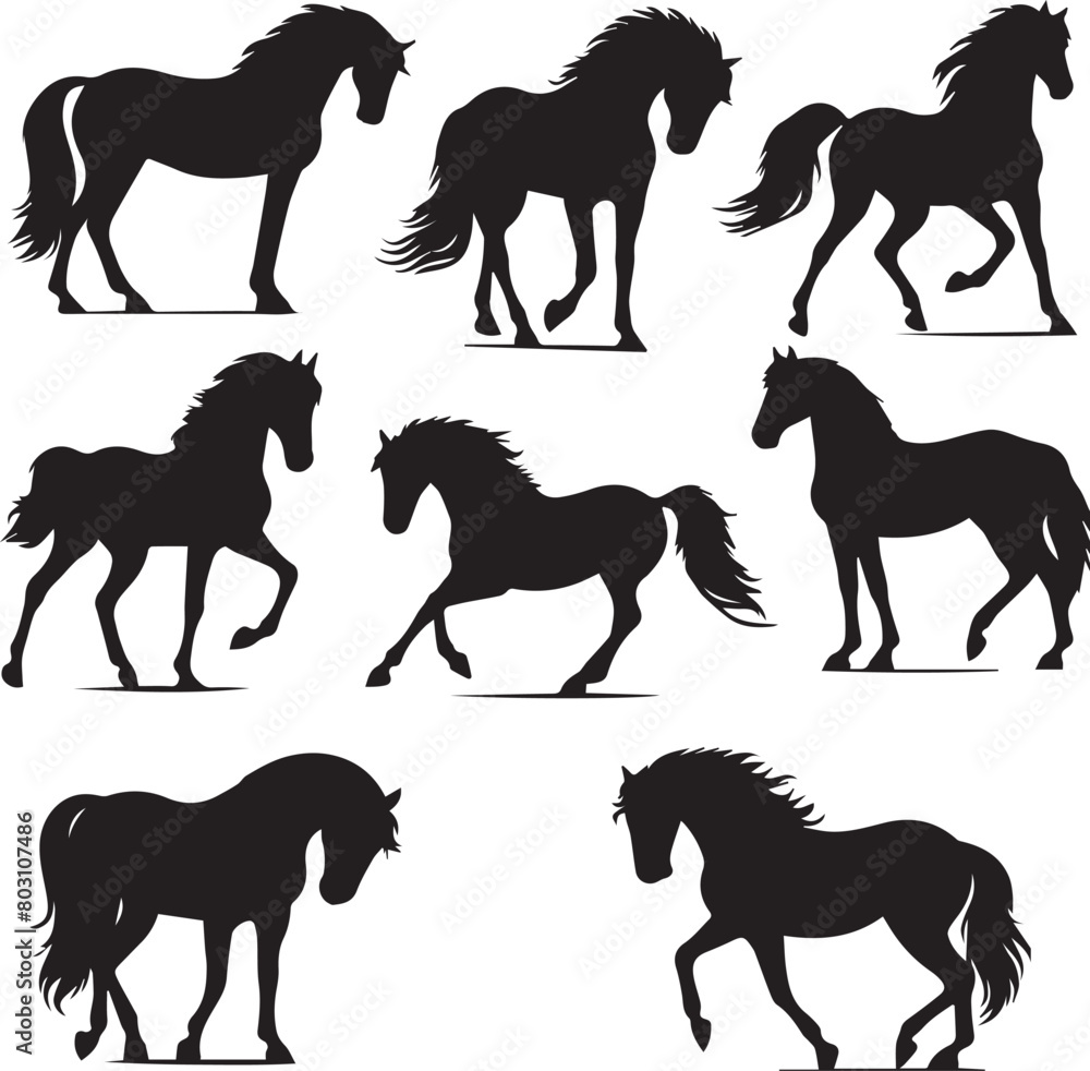 Horse silhouette animal set on white background. Black horses graphic element vector illustration. High Resolution JPG, EPS 10 included. Horse silhouette animal set on white background. Black horses graphic element vector illustration. High Resolution JPG, EPS 10 included.