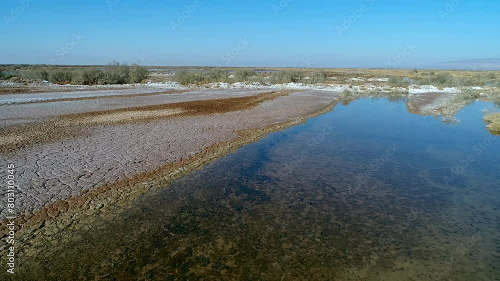 Flying by drone on a beautiful vast wetland and its migratory birds. High resolution and quality aerial footage. Flying by drone on a beautiful vast wetland and its migratory birds. High resolution and quality aerial footage.