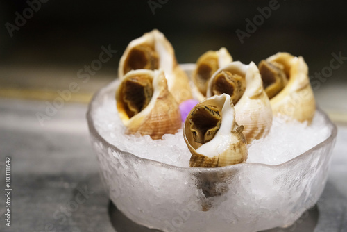 fresh raw Rapana bezoar Linnaeus. Sea Snail seafood photo
