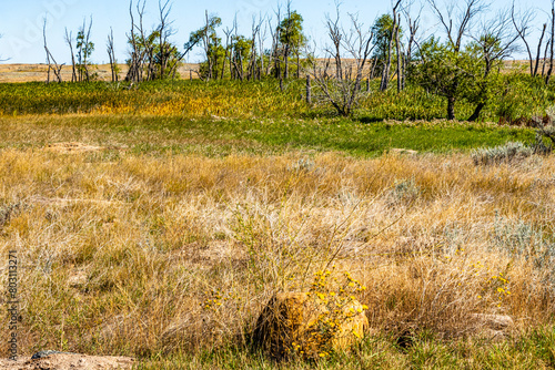 Kinnbrook Island Provincial Park Alberta Canada photo