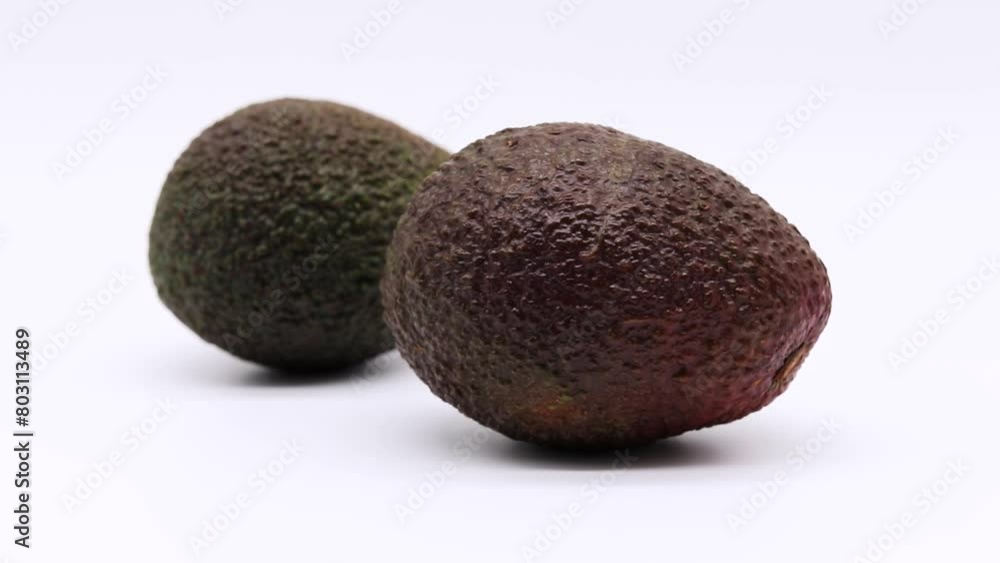 Avocado Avocado