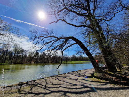 Schlosspark Nymphenburg, München