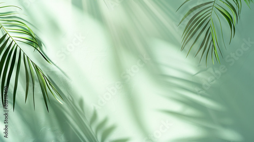 Photo of a modern solid color background with soft shadows from palm leaves in the style of light green and gray colors, for a product presentation template design 