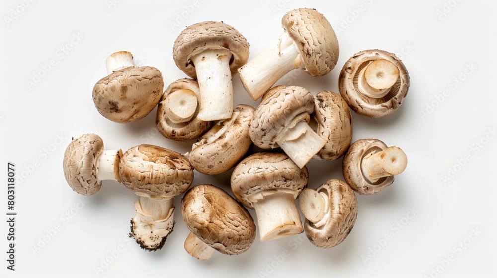 A collection of fresh, whole mushrooms spread out on a white background.