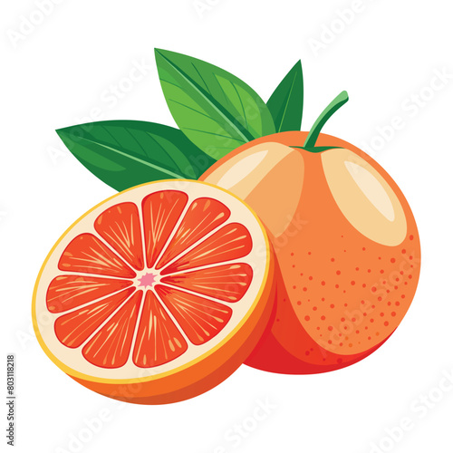 One and half Grapefruit vector art illustration, solid white background