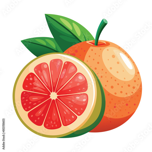 One and half Grapefruit vector art illustration, solid white background