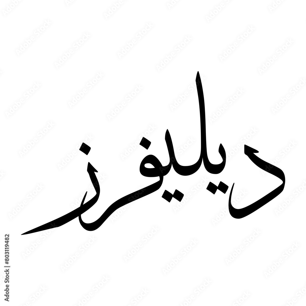 Fototapeta premium Dilafroz Muslim Boy Name Sulus Font Arabic Calligraphy