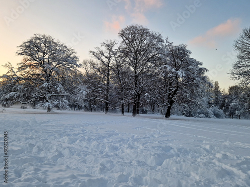 Englischer Garten München