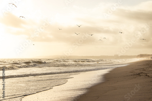 Praia vazia com gaivotas a voar, água do mar com ondas e areia sem pessoas, com uma neblina do mar a entrar pela praia, ao fim de tarde photo