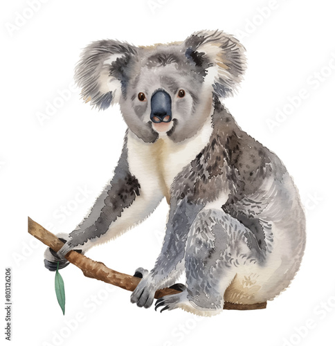 koala watercolor digital painting good quality