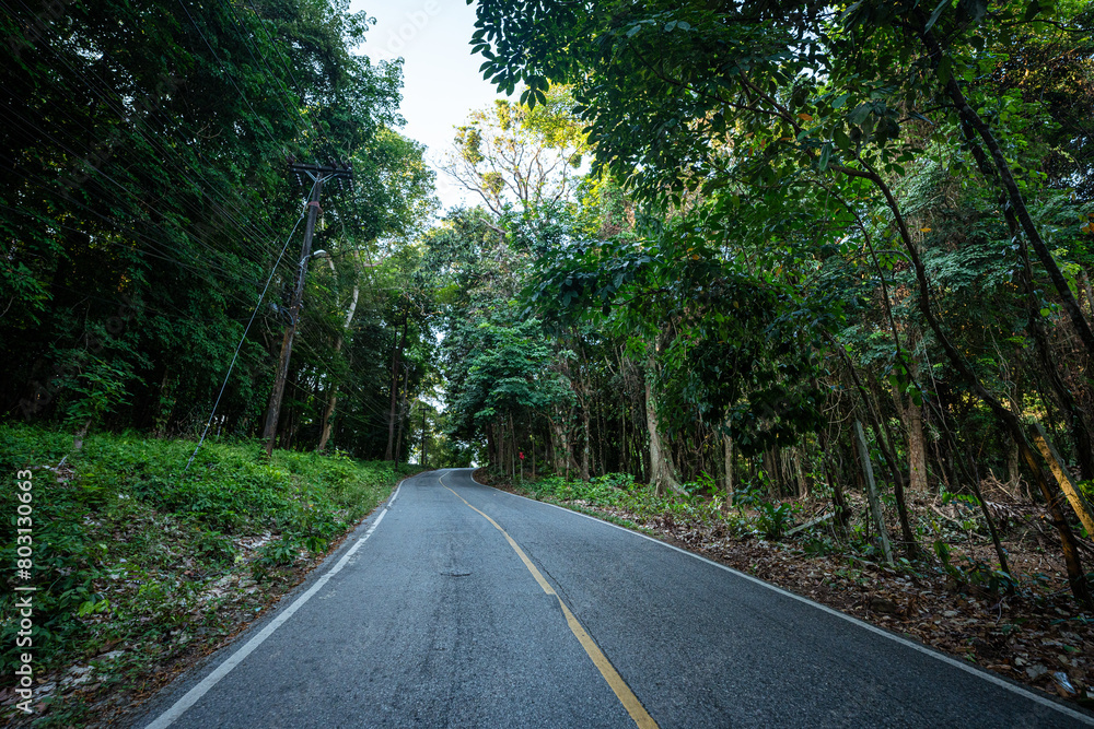 Asphalt rural road on mountain tropical forest Asphalt rural road on mountain tropical forest
