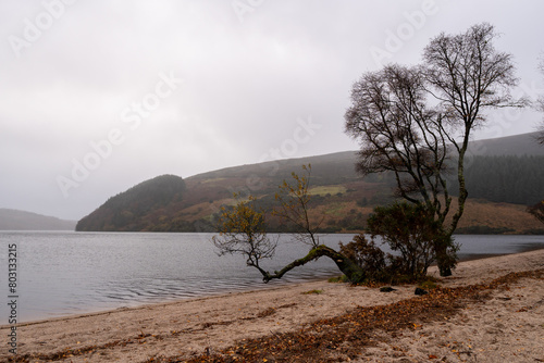 Amazing panoramic view with lake, beach, trees, valley and rocky steep mountain. Bad Depresing weather. Lough Dan lake in Wicklow Mountains, Ireland