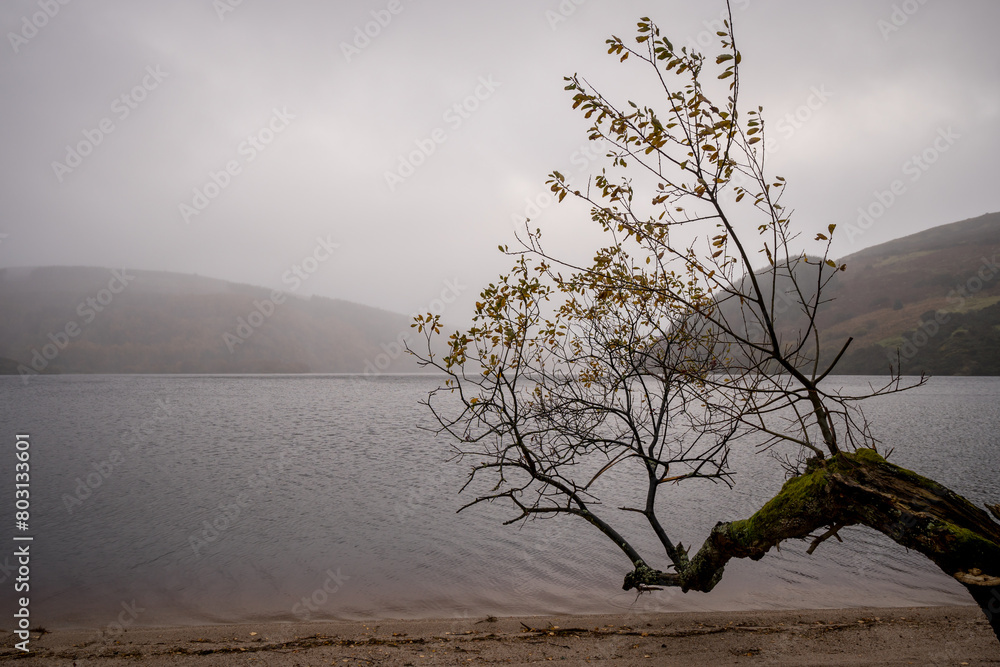 Foggy panoramic view with lake, beach, trees, valley and rocky steep mountain. Bad Depressing weather. Lough Dan lake in Wicklow Mountains, Ireland