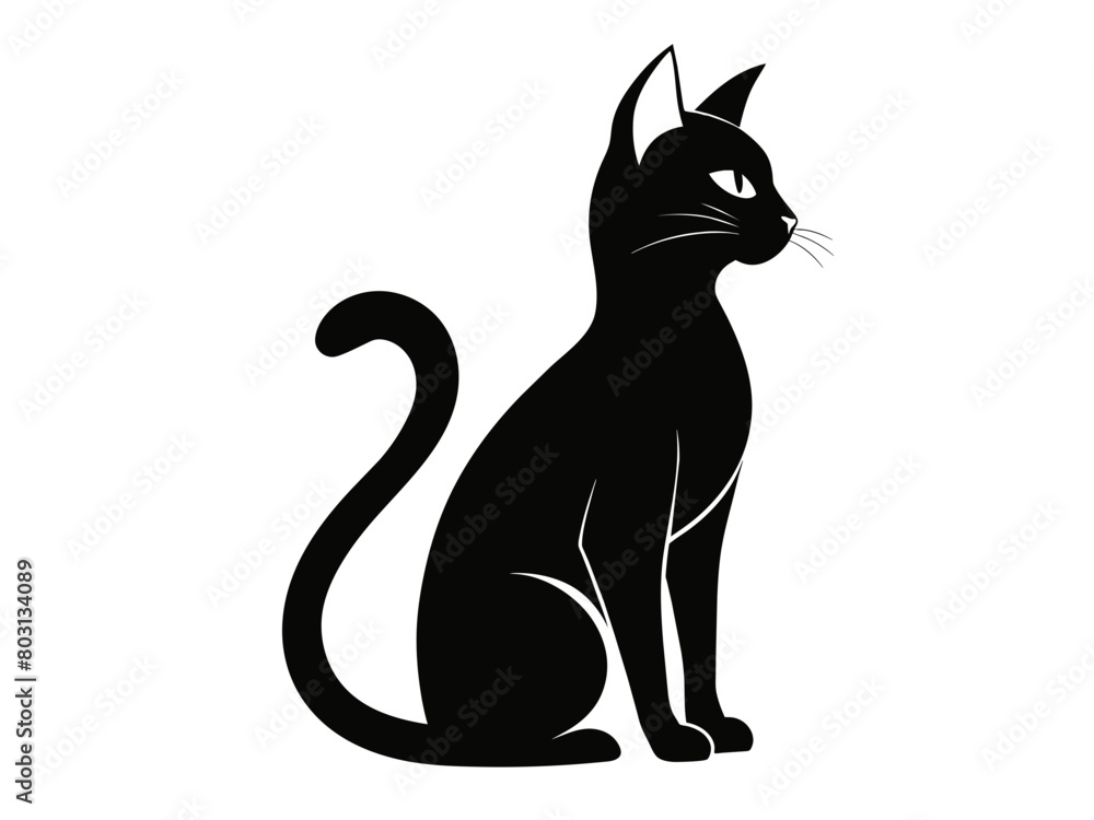 Fototapeta premium black cat