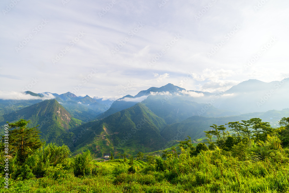 Fototapeta premium Rice terraces in northern Vietnam