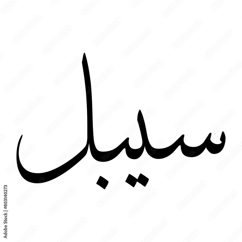 Saibal Muslim Boy Name Sulus Font Arabic Calligraphy Saibal Muslim Boy Name Sulus Font Arabic Calligraphy