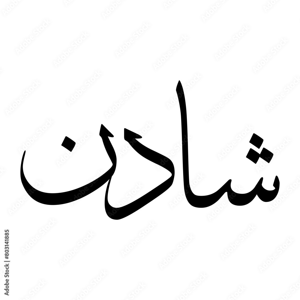 Shadan Muslim Boy Name Sulus Font Arabic Calligraphy Shadan Muslim Boy Name Sulus Font Arabic Calligraphy