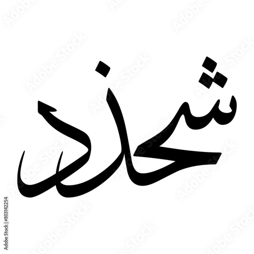 Shahzad Muslim Boy Name Sulus Font Arabic Calligraphy photo