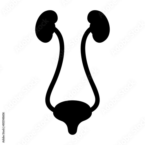 bladder glyph icon
