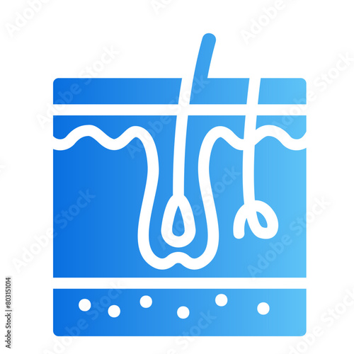 epidermis gradient icon