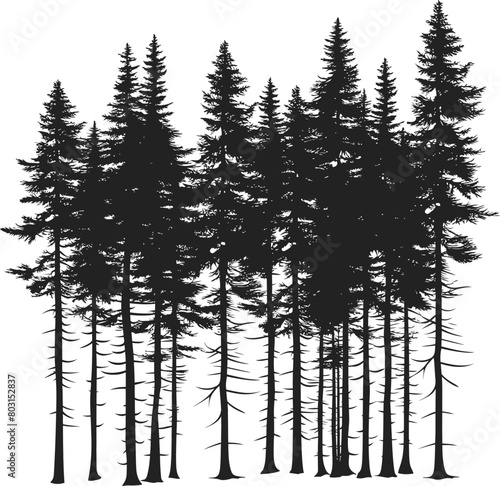 Pine trees silhouette vector
