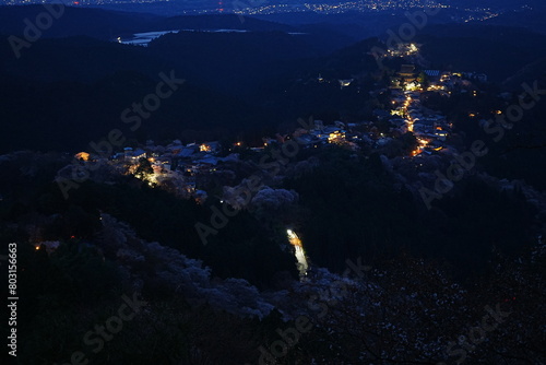 Night View of Pink Sakura Cherry Blossom on Mt. Yoshino or Yoshino-yama in Nara, Japan's Most Famous Cherry Blossom - 日本 奈良 吉野山の桜 春の景色 夜景 photo