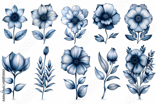 Set of blue flowers isolated white background, watercolor clipart, botanical illustration. vector.