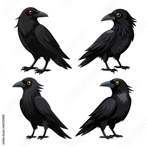 Set of crow bird cartoon style on white background