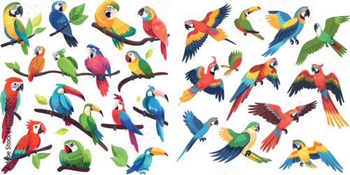 Exotic pretty parrots. Cartoon parrot of tropical brazil amazon jungle, hawaii island birds fly lorikeets cockatoos macaw sitting toucan