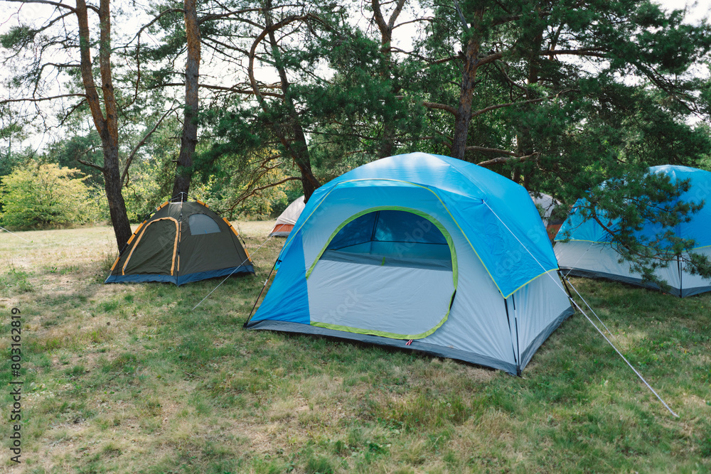 Several tents of color hues are set up on a grassy area surrounded by forest trees, suggesting a group of campers have settled here for a summer getaway.
